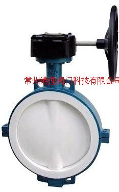 对夹衬氟蝶阀