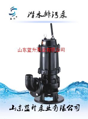 煙臺WQ系列潛水排污泵行業*品牌