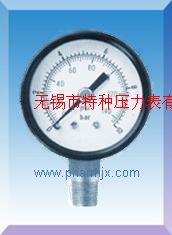 弹簧管压力表Y-50/Y60/Y100/Y150